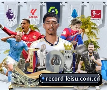 record-leisu.com.cn APP